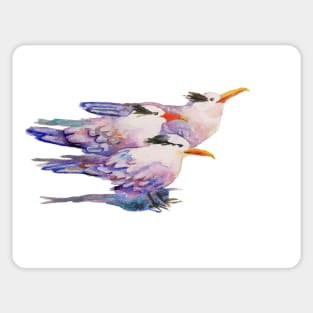 Sea Gulls Shore Birds Watercolor Sticker